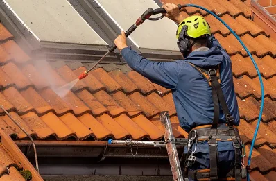 Démoussage et hydrofuge de toiture à Bellocq